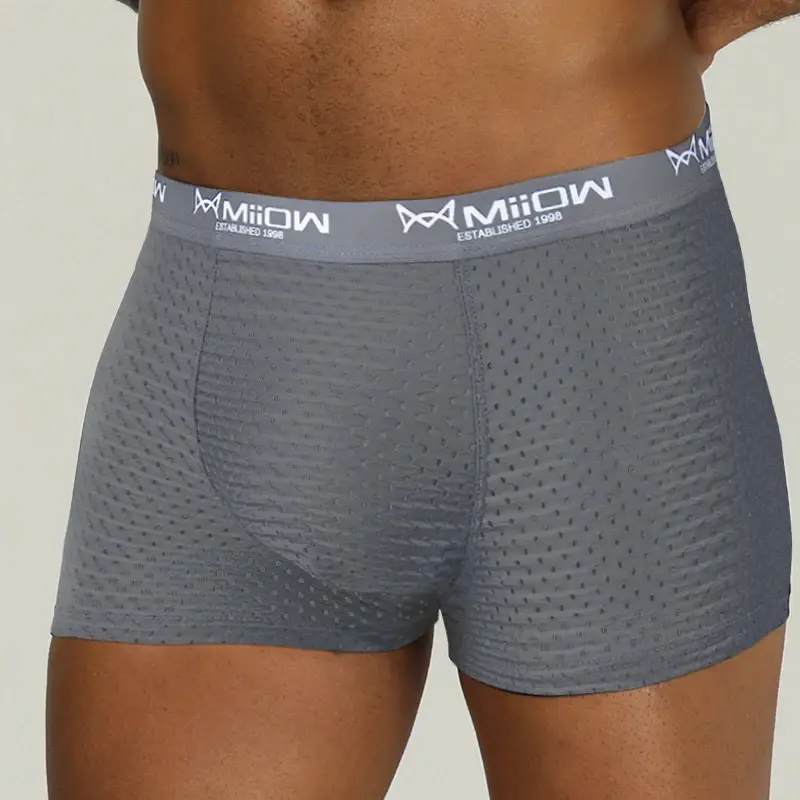 Miiow sexy men boxer shorts roupa interior malha respirável de seda gelo calcinha masculina lingerie cuecas boxershorts plus size L-4XL 2022 — image 12