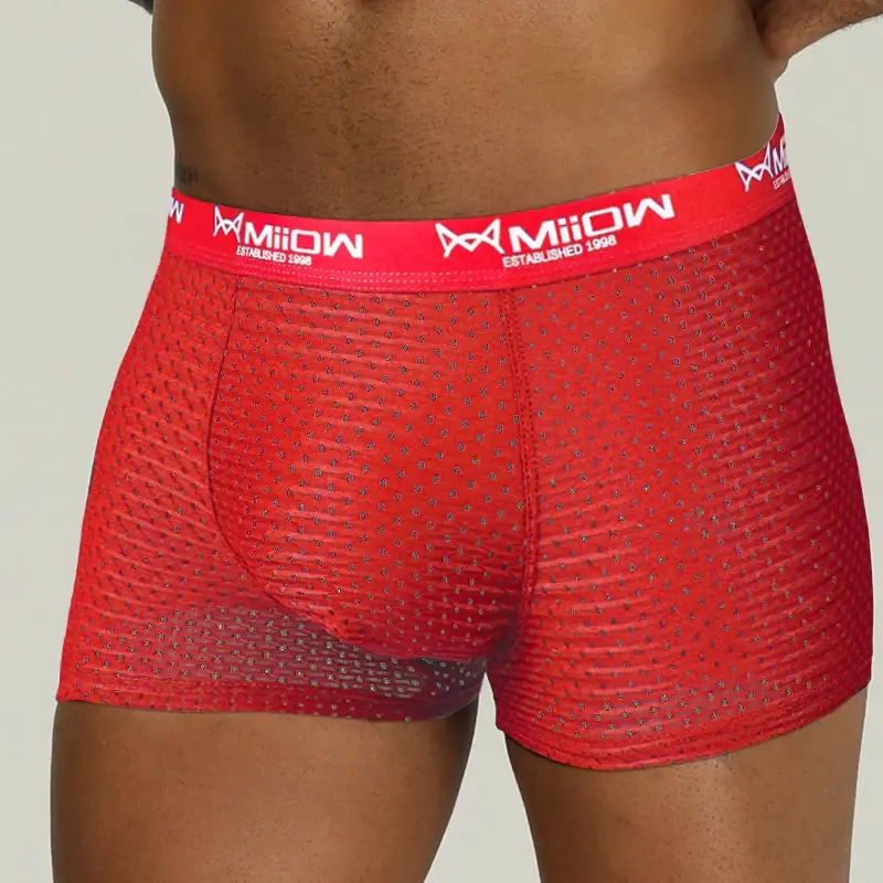 Miiow sexy men boxer shorts roupa interior malha respirável de seda gelo calcinha masculina lingerie cuecas boxershorts plus size L-4XL 2022 — image 8