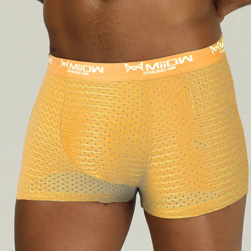 Miiow sexy men boxer shorts roupa interior malha respirável de seda gelo calcinha masculina lingerie cuecas boxershorts plus size L-4XL 2022 — image 10
