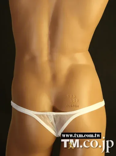High Elastic Men Shiny Sheer Mesh Briefs U Pouch Low Waist Large Capacity Pouch Triangle Underwear — image 11