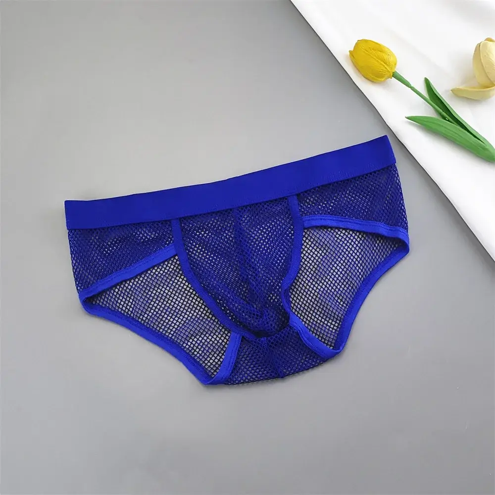 Hollow Out Mesh Męska bielizna w kształcie litery U Niski stan Przezroczyste figi bikini Oddychające majtki Plus Size — image 4