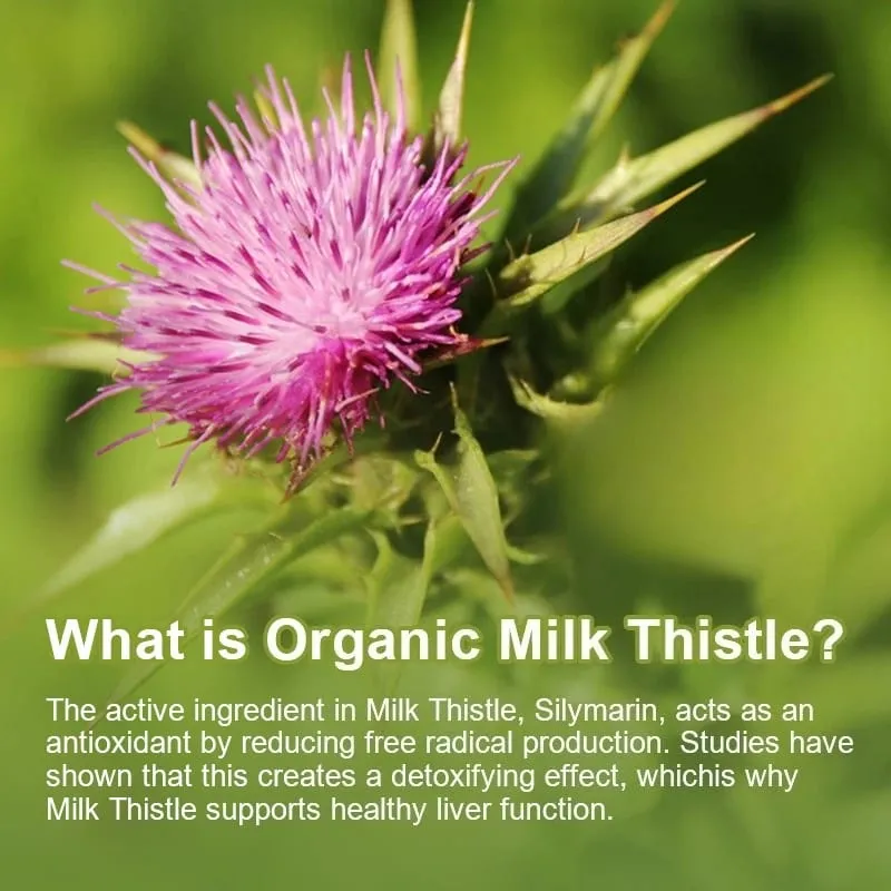 Milk Thistle Extract Capsules with Dandelion for A Detox Cleansing Liver Support and Repair Formula Help Digestion Non-GMO — image 4