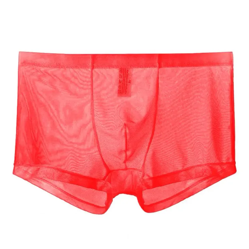 Genomskinliga boxershorts för män genomskinlig manliga kalsonger Sexiga Mesh Låg midja Is Silke Tunn Kylning Herr Trosor Herr Underkläder — image 30