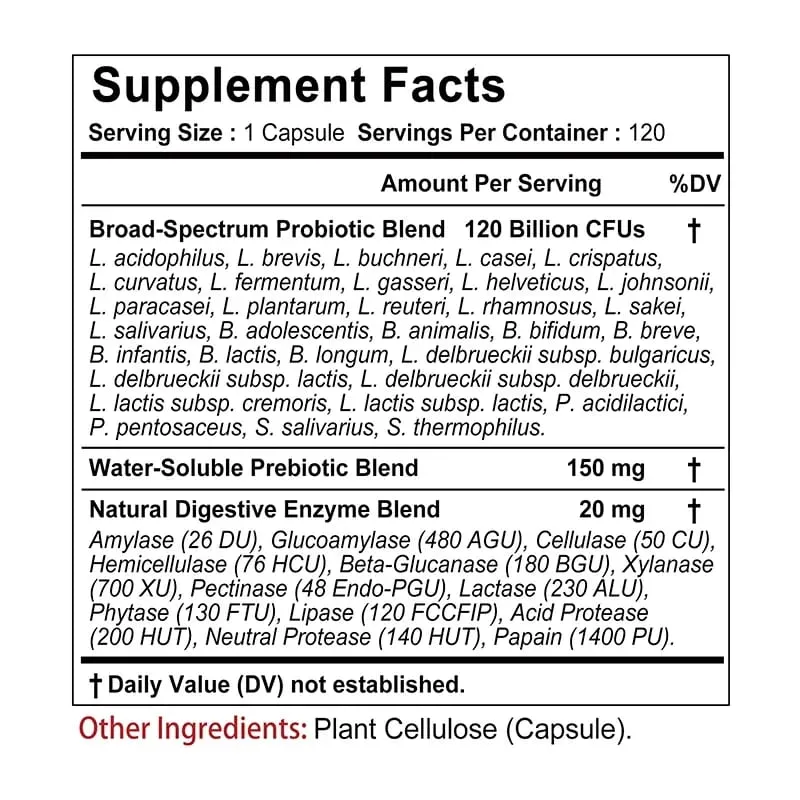 Probiotics + Prebiotics + Digestive Enzymes - Promote Intestinal Flora Digestive Health Women & Men Provide Lasting Energy — image 2