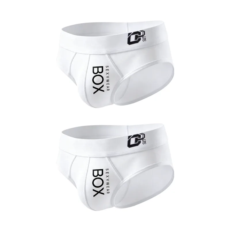 1/2Pcs High Quality Low Waist Sexy Mens Underwear Briefs Letter Print Men's Lingerie Cotton Men's Briefs Bikini Man Underpants — image 25