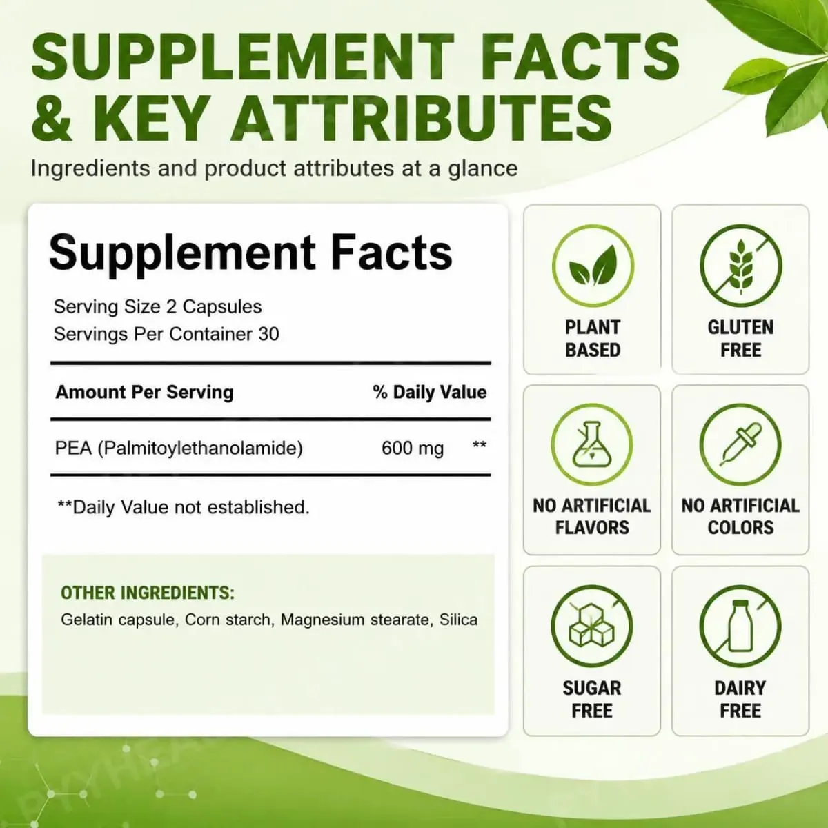 Κάψουλες Docteat PEA 600 mg Micronized Palmitoylethanolamide Supports Compound Balance Maintenance Comfort and Ease 60 κάψουλες — image 2