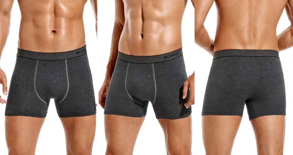 4st bomullsunderkläder för män Boxers Hot Herr Trosor Set Hög kvalitet Herr Boxershorts Familj Man Kalsonger Present Sexig Trunk — image 8