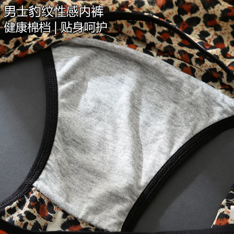 Men's Ruffle Mesh Sissy Panties See Through Crossdresser Silky Knicker Hollow High Waist Brief Sissy U Convex Pouch Underpant — image 4