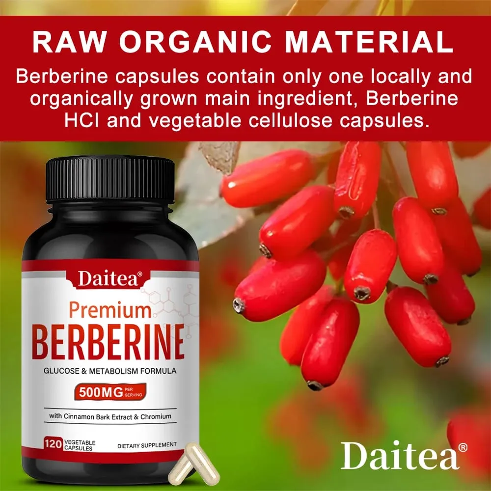 Berberine HCL 500mg Κάψουλες με Κανέλα Αντιοξειδωτική Υποστήριξη Καρδιά Μεταβολικό Καρδιαγγειακό Πεπτικό & Ανοσοποιητικό Υγεία — image 5