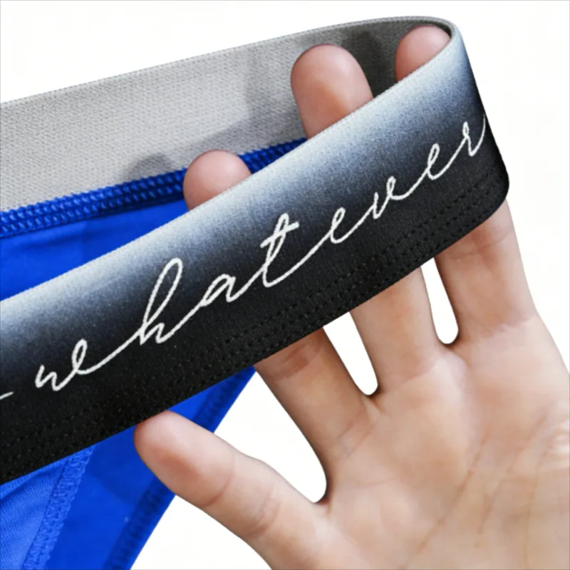Men's Ice Silk Polyester Cheeky Briefs Ombre "Whatever" Slogan Waist Sporty Contour Fit Low-Rise Underpants Men Underwear Sexy — image 3