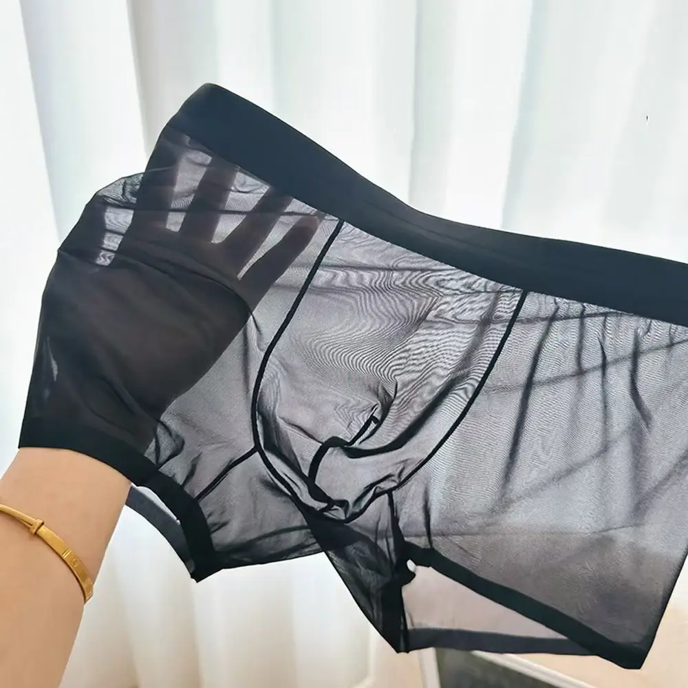 Men Sexy Elastic Men's Panties Quick Drying Ultra-thin Boxer Shorts Transparent Boxers Underwear U Bulge Pouch Sexy Und — image 2