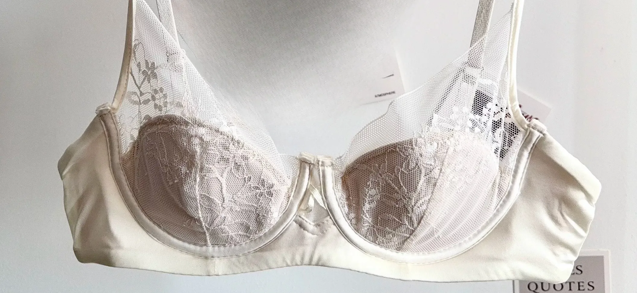 Γυναικεία Δαντελένια Εσώρουχα Μαλακά Underwire Thin Cup Push-Up Σετ εσώρουχα εσώρουχα Comfort Intimates για μικρό μπούστο S-XL καθημερινά εσώρουχα — image 11