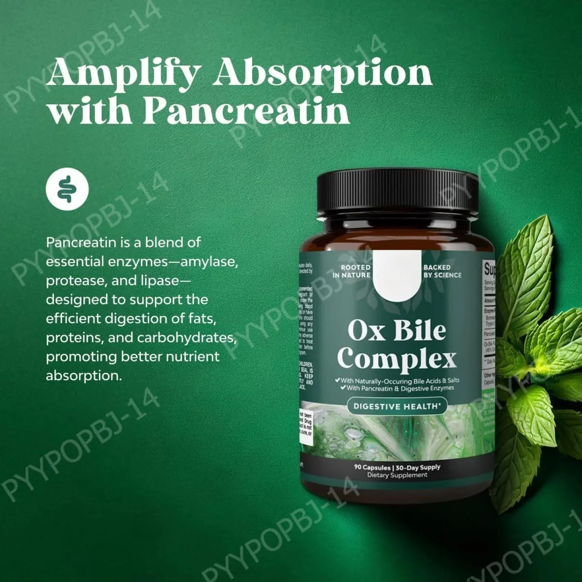 Digestive Enzyme Ox Bile Supplements with Pancreatin & Bromelain 90 Capsules 30 Servings for Women & Men — image 4
