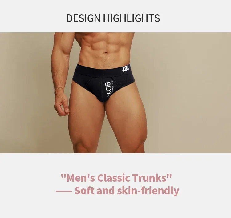 1/2Pcs High Quality Low Waist Sexy Mens Underwear Briefs Letter Print Men's Lingerie Cotton Men's Briefs Bikini Man Underpants — image 2