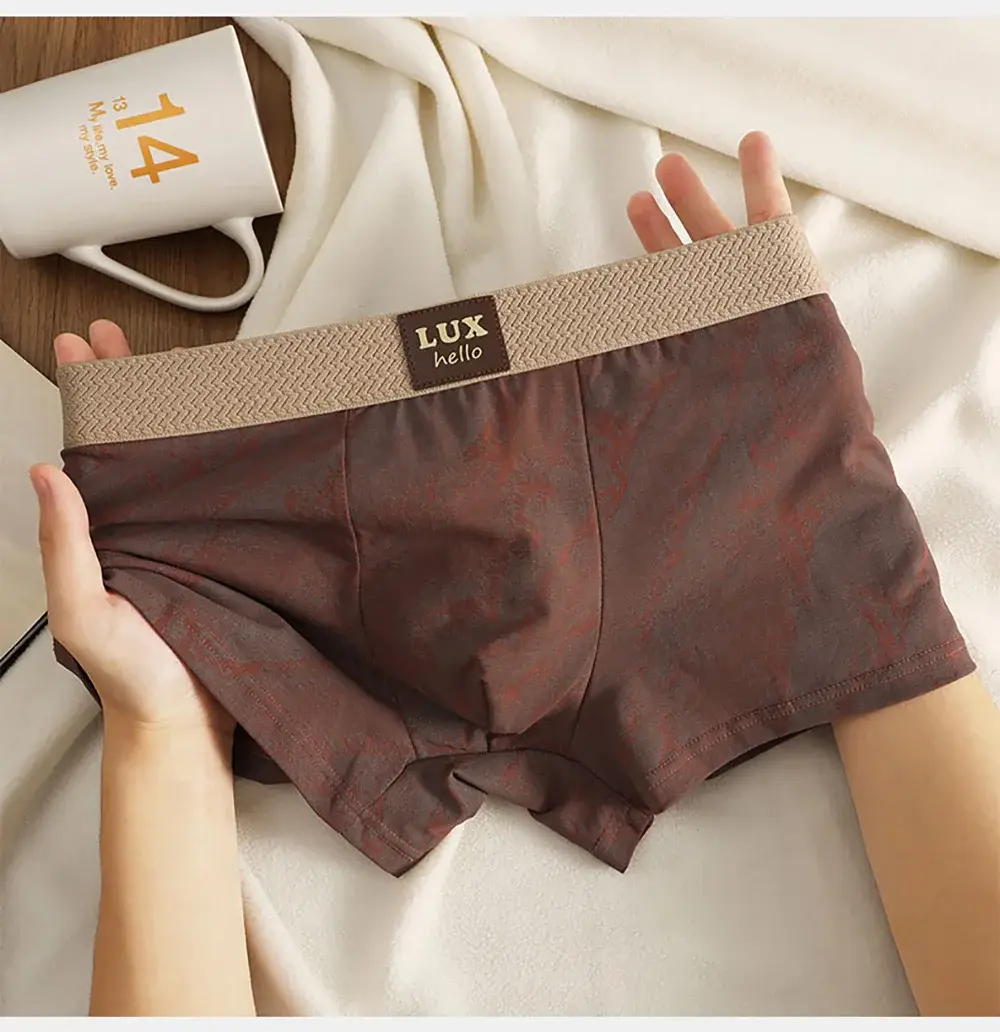 3PCS/Pack 100% Cotton Luxury Print Boxers Hombre 3D Mesh Breathable Antibacterial Pouch Kasuotang Panloob Kumportableng Malambot na Panti ng Lalaki — image 9