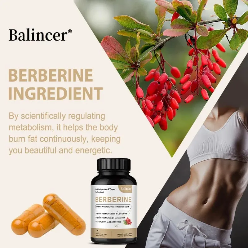 Κάψουλες Berberine 500 Mg - Προωθεί την υγεία του καρδιαγγειακού συστήματος και της χοληστερόλης Υποστήριξη υγιούς διαχείρισης βάρους και ανοσοποιητικού συστήματος — image 4
