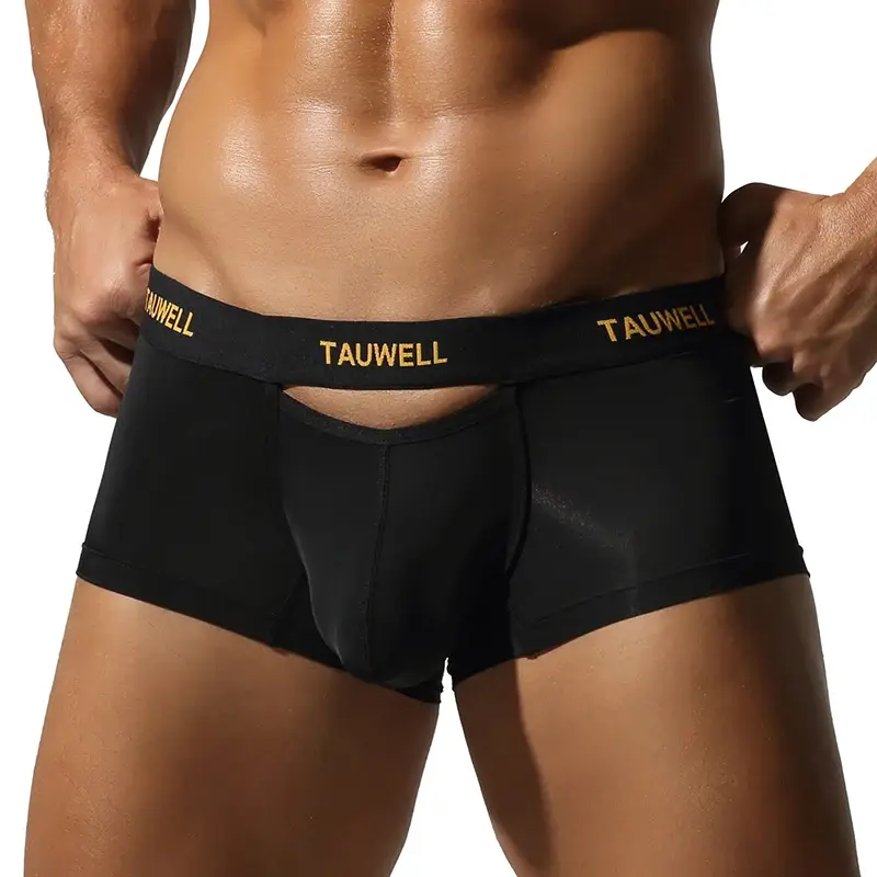 Men's Underwear Comfortable Cool Thin Sexy Semi-Transparent Flat Angle Pants with U-Shaped Pouch Briefs — image 8