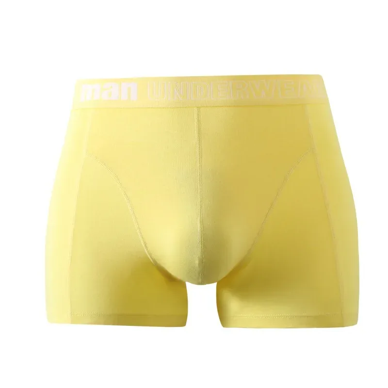 1049 yellow