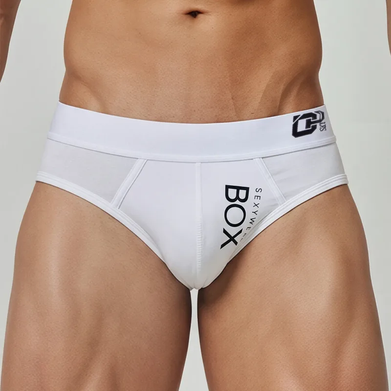 1/2Pcs High Quality Low Waist Sexy Mens Underwear Briefs Letter Print Men's Lingerie Cotton Men's Briefs Bikini Man Underpants — image 27