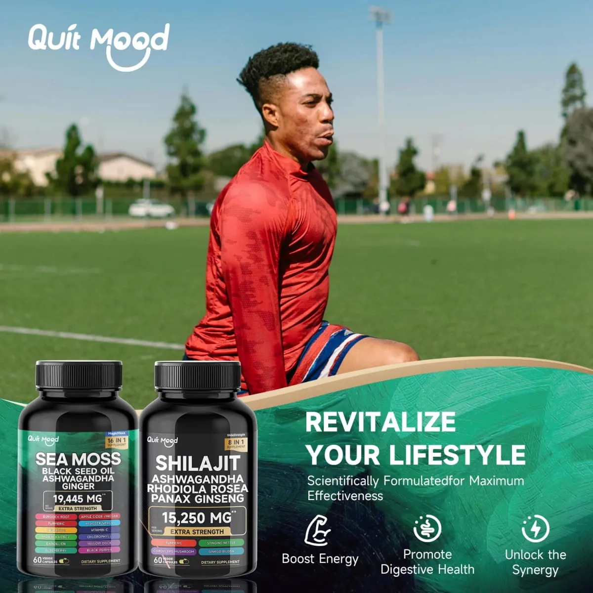 Bundle Sea Moss and Shilajit |High Potency Vitality Combo - Ashwagandha Turmeric Bladder Burdock 2000 Mg & Ginger Vitamin C — image 4