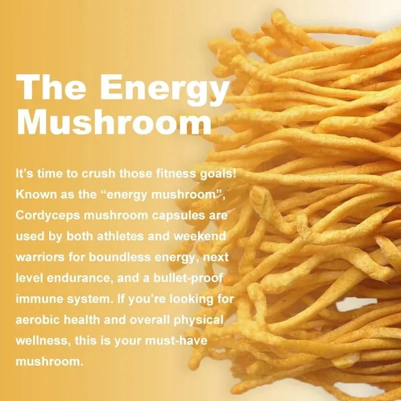 Cordyceps Mushroom Capsules - Boost Energy and Endurance Enhance Memory and Concentration and Relieve StressSupplementsSupplem — image 7