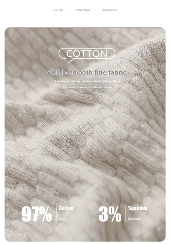 Nova calcinha masculina meninos sexy roupa interior adolescente calcinha de algodão calças triângulo tamanho grande simples respirável fina maré shorts — image 13