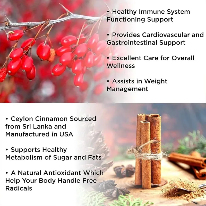 Berberine Capsules Contain Ceylon Cinnamon and Milk Thistle To Support Glucose Balance Liver Health Digestion and Weight Loss