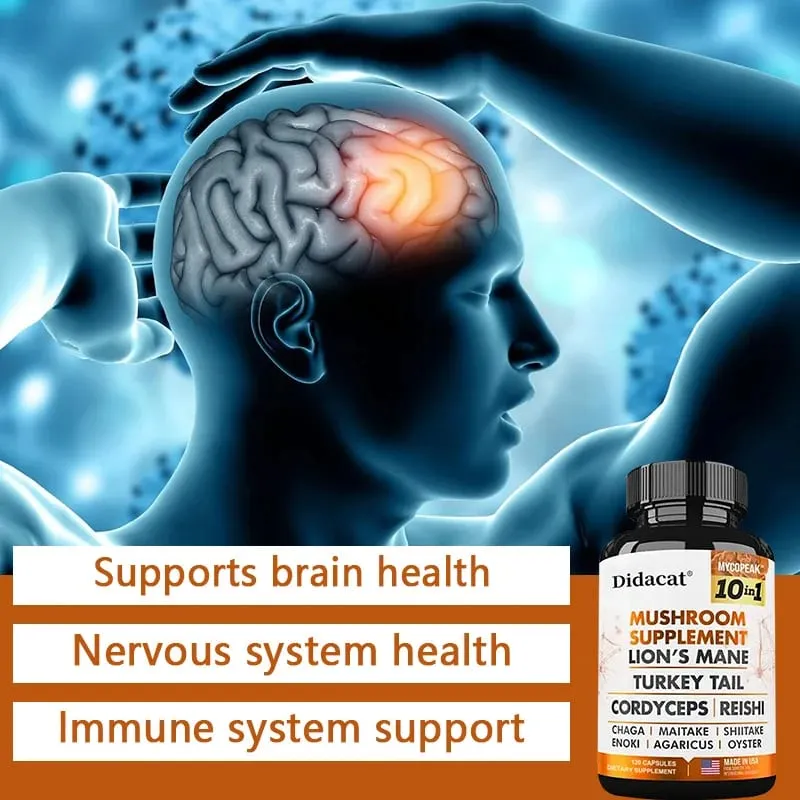 Didacat 10x Mushroom Complex Capsules with Lions Mane Chaga Nootropic Brain Supplement for Memory and Immunity