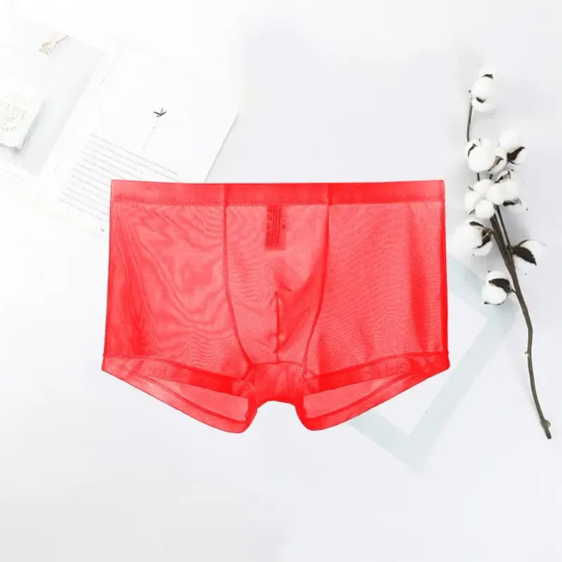 Genomskinliga boxershorts för män genomskinlig manliga kalsonger Sexiga Mesh Låg midja Is Silke Tunn Kylning Herr Trosor Herr Underkläder — image 10
