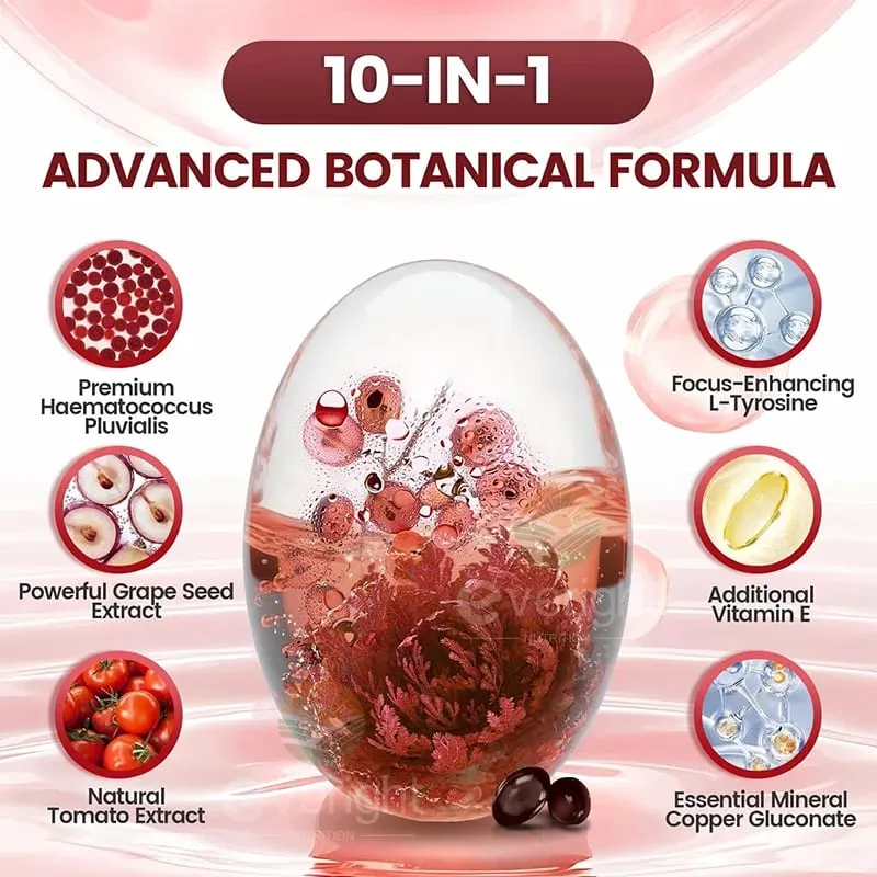 Astaxanthin 24mg - נוגד חמצון רב עוצמה לעור עיניים מערכת החיסון - 10 ב-1 פורמולה ליקופן זרעי ענבים ויטמין E ואבץ