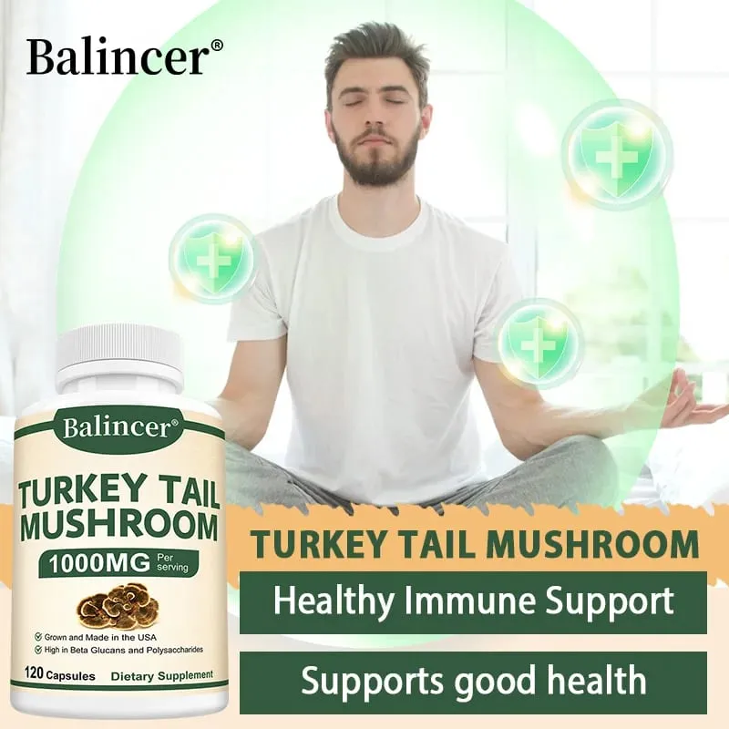 Turkey tail mushroom supplement capsules enhance immunity intestinal immune health metabolism — image 4