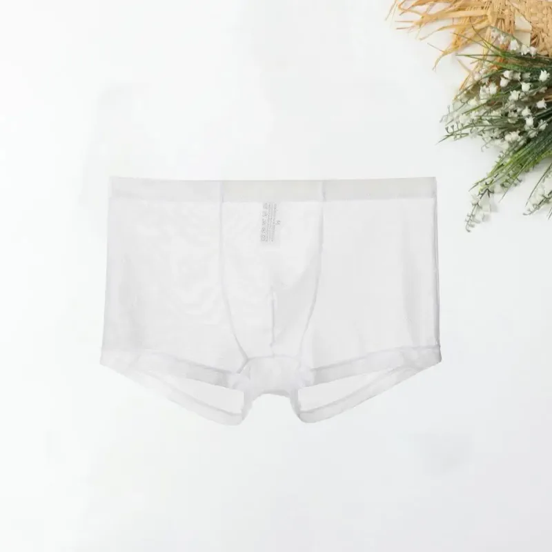 Genomskinliga boxershorts för män genomskinlig manliga kalsonger Sexiga Mesh Låg midja Is Silke Tunn Kylning Herr Trosor Herr Underkläder — image 16