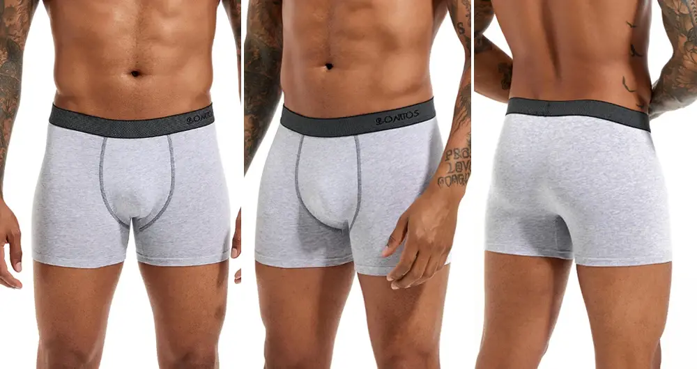 4st bomullsunderkläder för män Boxers Hot Herr Trosor Set Hög kvalitet Herr Boxershorts Familj Man Kalsonger Present Sexig Trunk — image 7