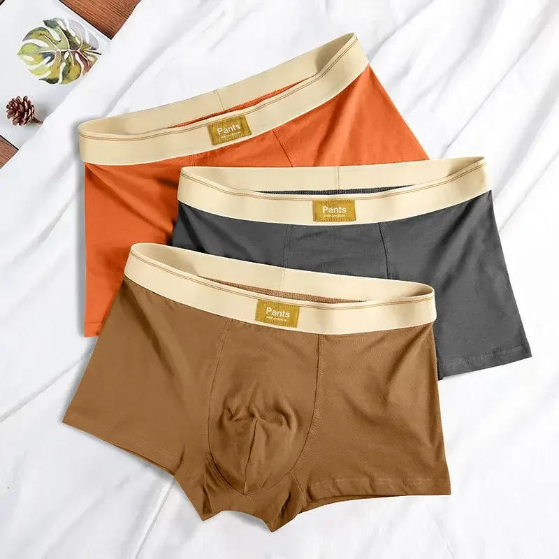 남성 속옷 코튼 BoxerShorts Hombre 팬티 남자 통기성 속옷 섹시한 스포츠 컴포트 남성 복서 대형 L-7XL — image 4