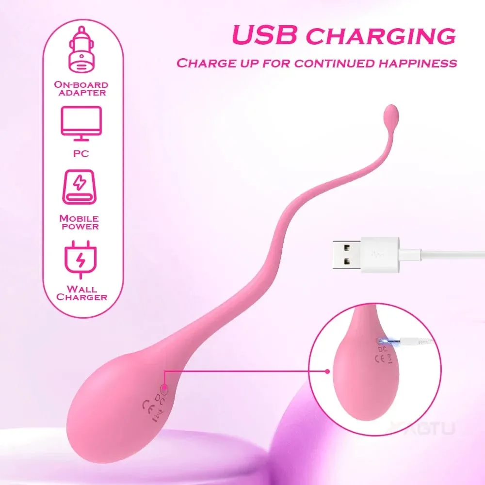 Remote Control Vaginal Vibrator For Women Nipple Clitoris Stimulator Wear Vibrating G-Spot Love Egg Massager Sex Toys for Adults — image 6