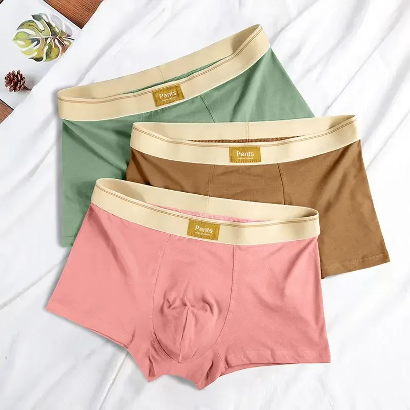 남성 속옷 코튼 BoxerShorts Hombre 팬티 남자 통기성 속옷 섹시한 스포츠 컴포트 남성 복서 대형 L-7XL — image 3