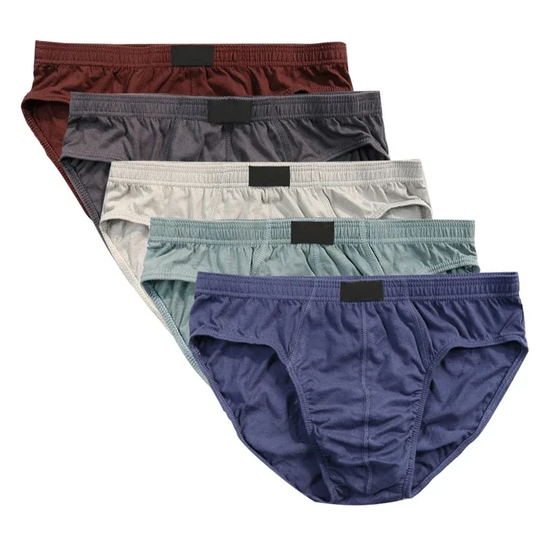 4 Pcs/Lot Cheapest 100% Cotton Mens Briefs Plus Size Men Underwear Panties XL-5XL Men's Breathable Sexy Lingerie Underpants — image 2