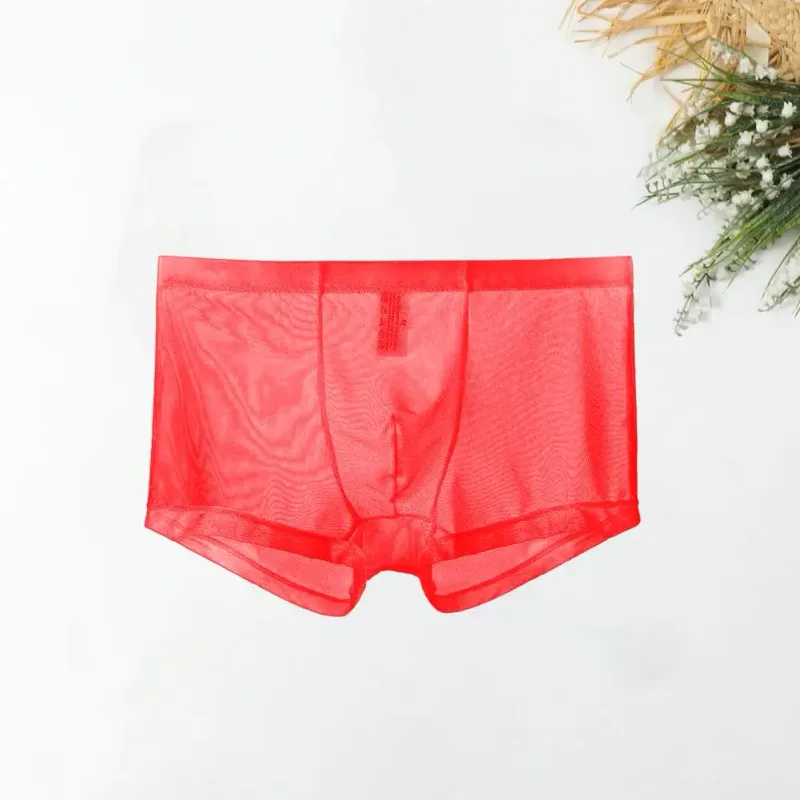 Genomskinliga boxershorts för män genomskinlig manliga kalsonger Sexiga Mesh Låg midja Is Silke Tunn Kylning Herr Trosor Herr Underkläder — image 14