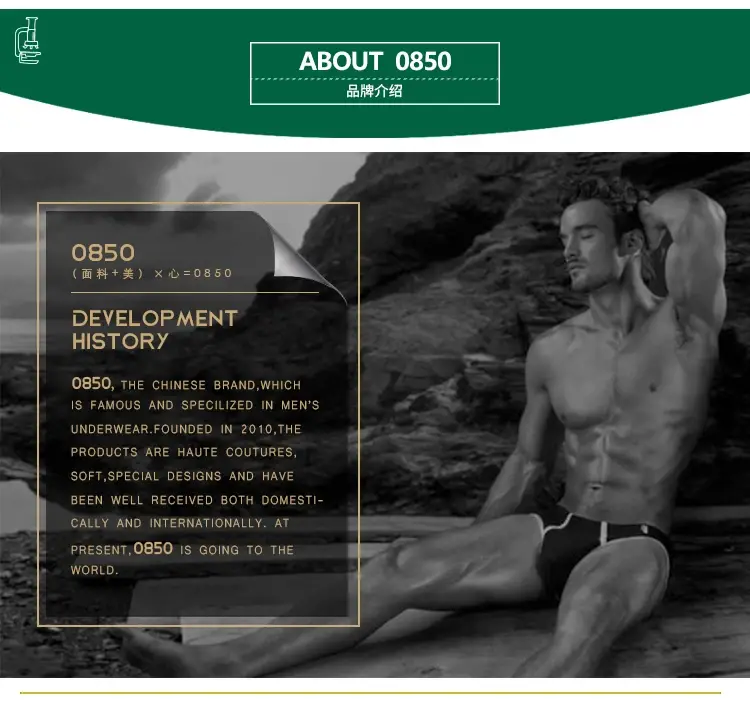 0850 cuecas masculinas sexy, cuecas de algodão confortáveis e respiráveis, atacado, cuecas masculinas — image 22