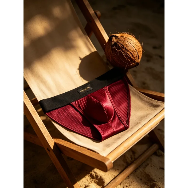 Panlalaking Kasuotang Panloob Makintab na may guhit na Triangle Briefs sa Harap ng Bulge Pouch Sexy Low Rise Slim Fit Pang-araw-araw na Panlalaking Panloob DP915