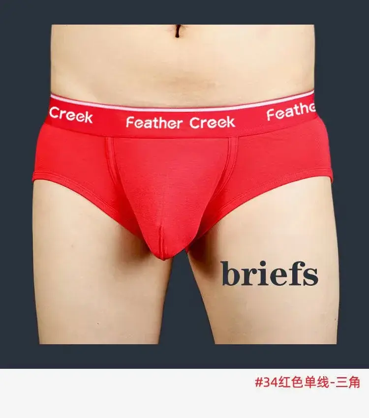 2026 Men's U-Shaped Large Bag Underwear Sexy Briefs Comfortable Innerwear for Men