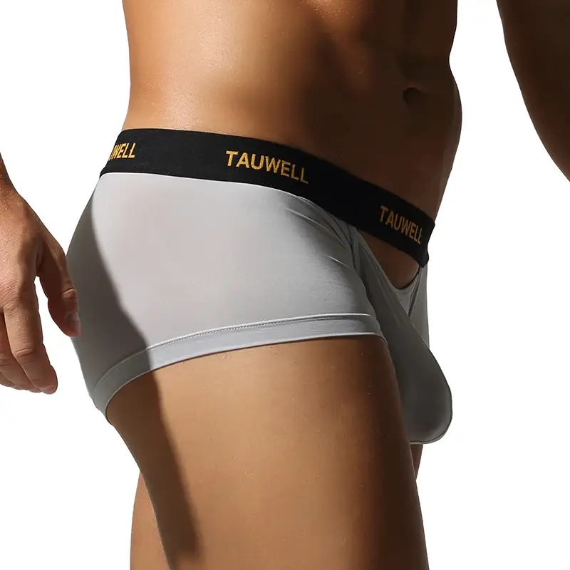 Men's Underwear Comfortable Cool Thin Sexy Semi-Transparent Flat Angle Pants with U-Shaped Pouch Briefs — image 5