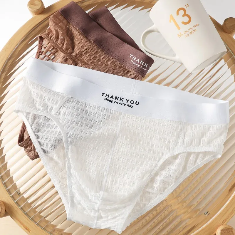 Transparent Mesh Underwear Male Ultra Thin Sheer Briefs Breathable Underpants Bulge Pouch Panties Soft Lingerie Low Rise Knicker — image 4