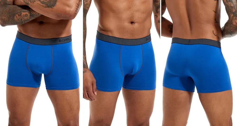 4st bomullsunderkläder för män Boxers Hot Herr Trosor Set Hög kvalitet Herr Boxershorts Familj Man Kalsonger Present Sexig Trunk — image 9