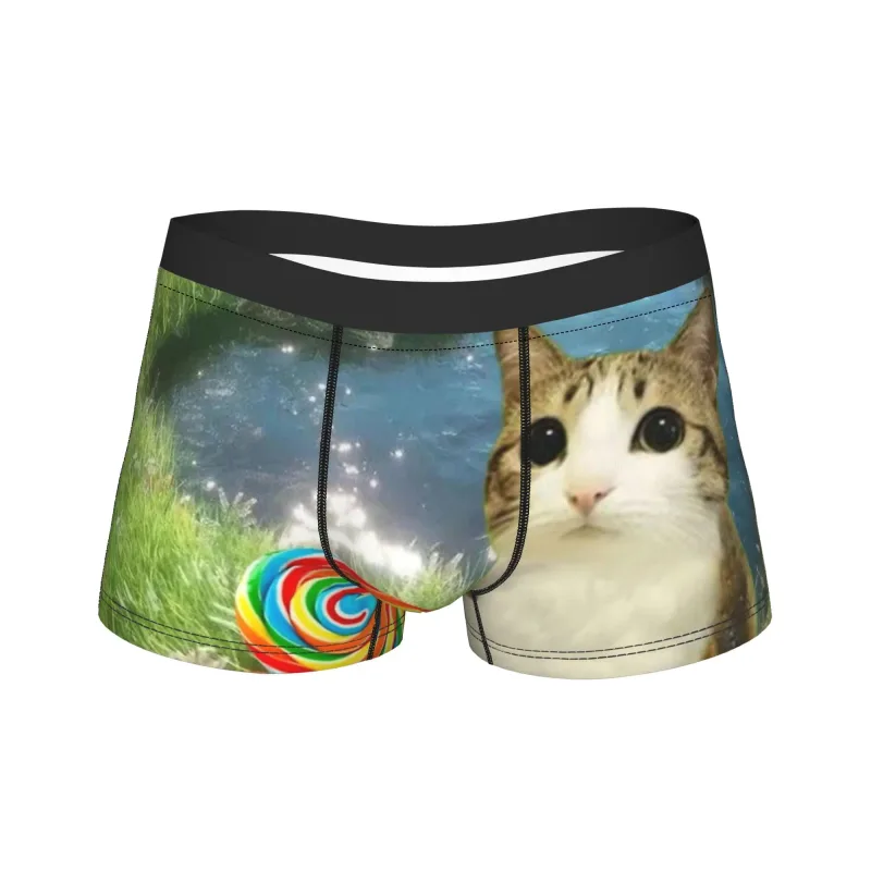 Meowl Cat Owl Cute Pet Stickers Underwear Comfortable Panties Customs Boxer Brief For Males 3D Pouch Oversize Trunk