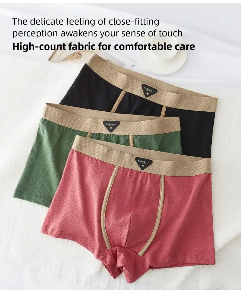 3PC 100% Cotton Men's Underwear Autumn Winter New 10A Antibacterial BoxerShorts Loose Comfortable Men's Quadrangle Underpants — image 1