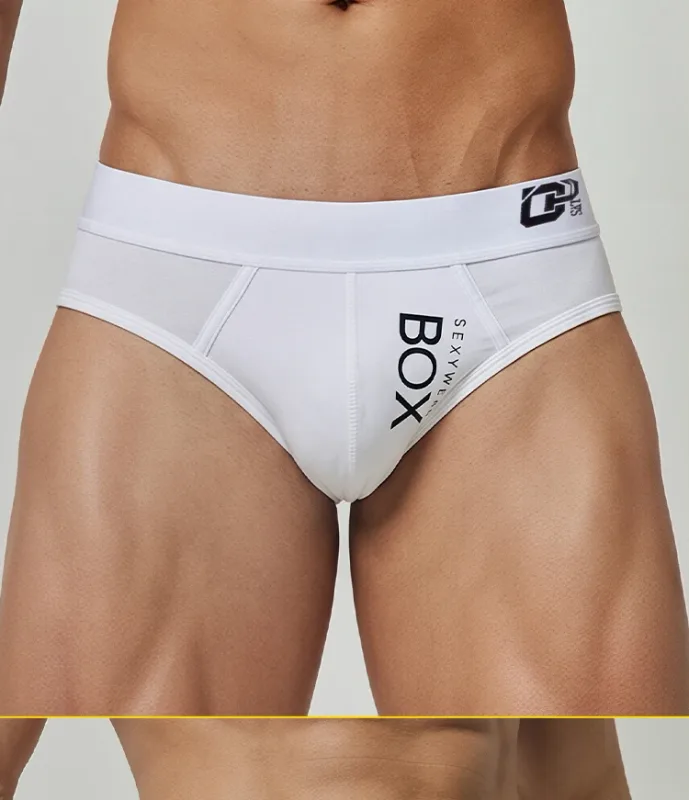 1/2Pcs High Quality Low Waist Sexy Mens Underwear Briefs Letter Print Men's Lingerie Cotton Men's Briefs Bikini Man Underpants — image 16