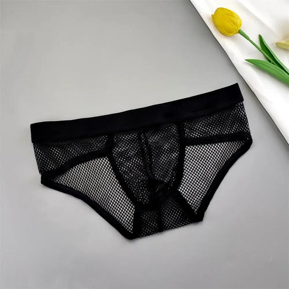 Hollow Out Mesh Męska bielizna w kształcie litery U Niski stan Przezroczyste figi bikini Oddychające majtki Plus Size — image 1