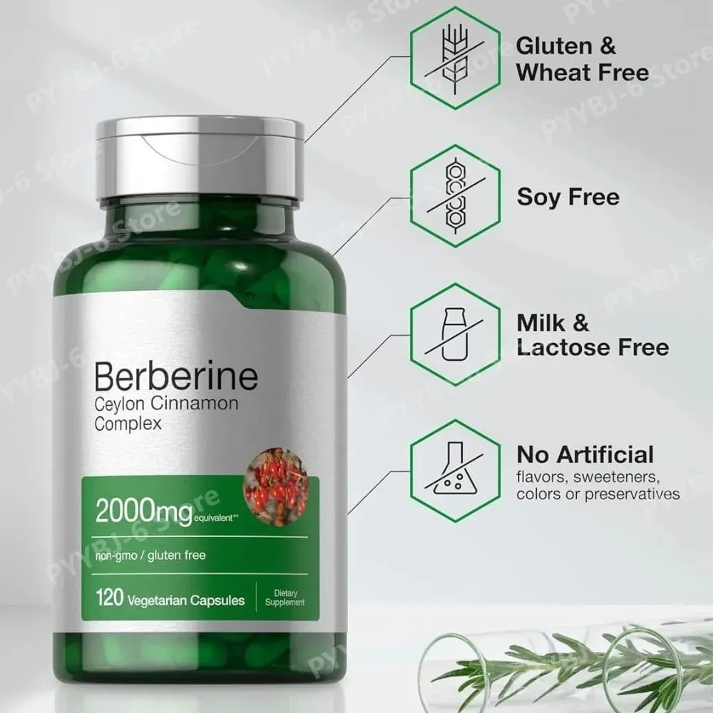 Berberine Ceylon fahéj komplex 2000 mg vegetáriánus kapszula GMO-mentes gluténmentes napi wellness-kiegészítő felnőtteknek 120 Count — image 5