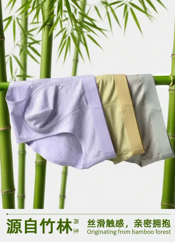 Men Sexy Briefs Bamboo Fiber Underwear Bulge Pouch Underpants 10A Antibacterial Breathable Sports Panties Soft Knickers Shorts — image 11